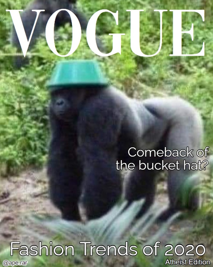 Meme Image