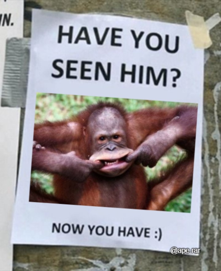 Meme Image