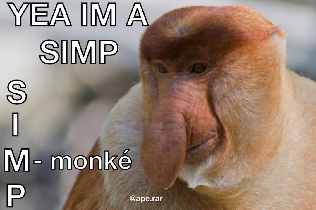 Meme Image