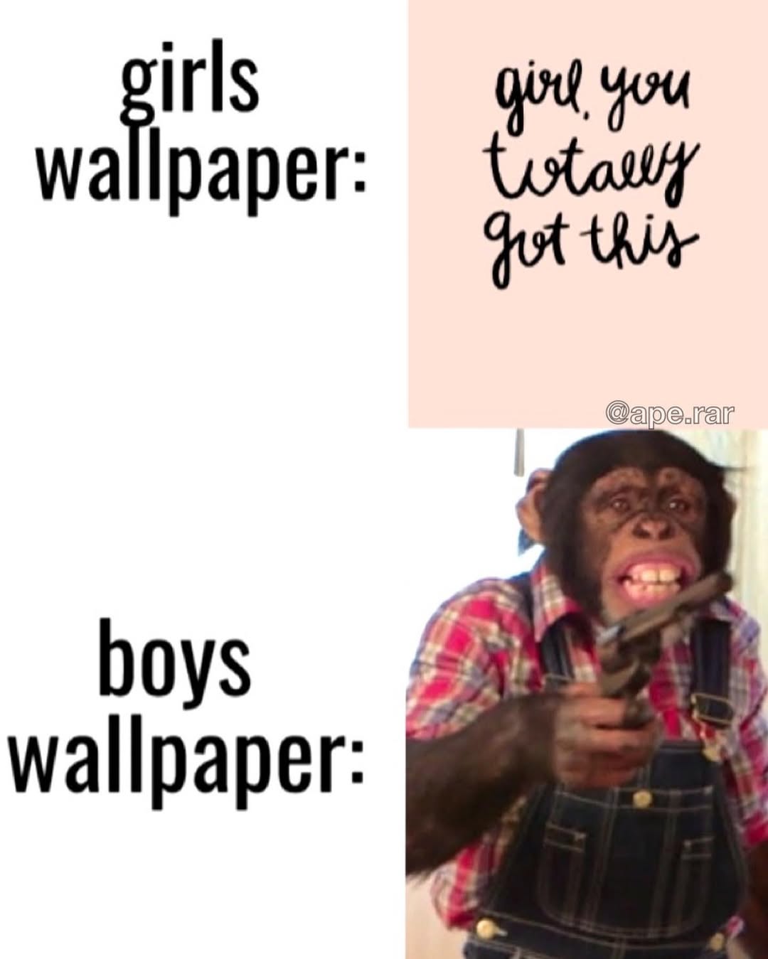 Meme Image