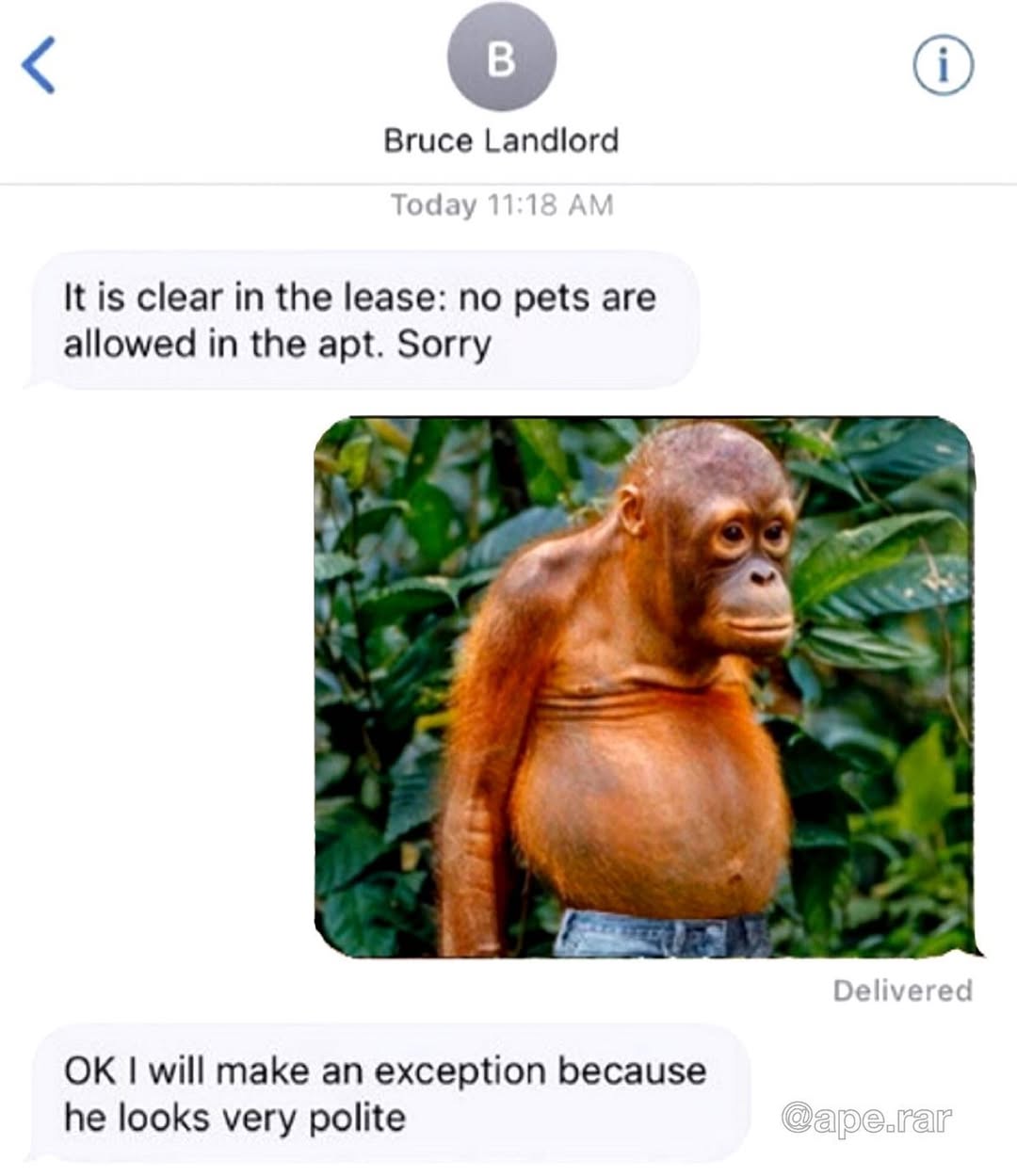 Meme Image