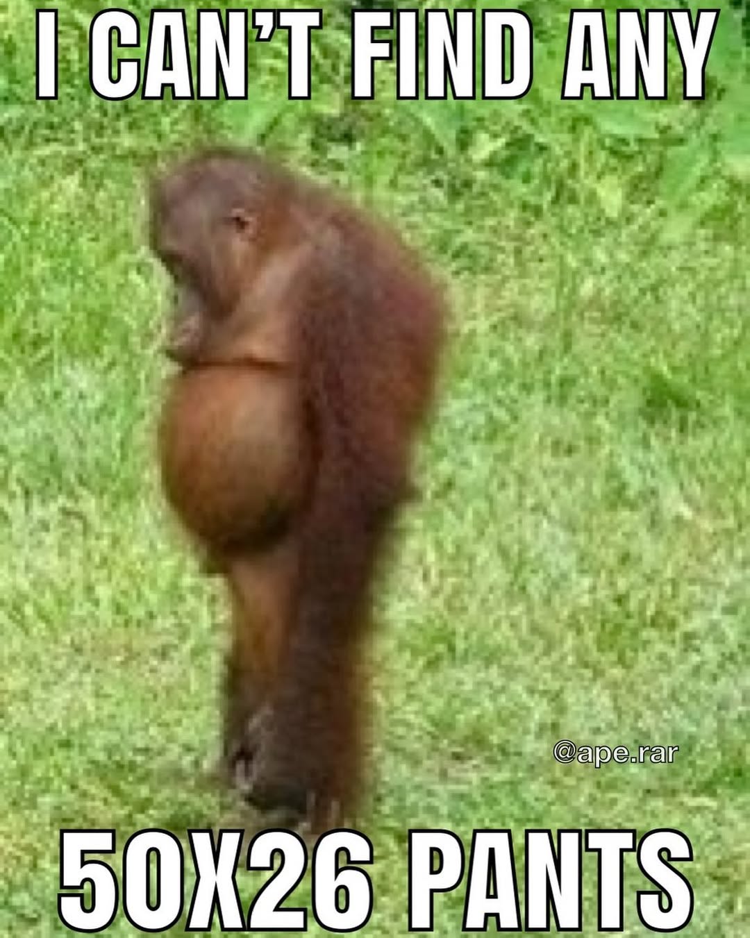 Meme Image