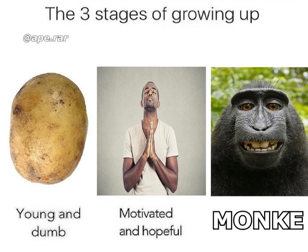Meme Image
