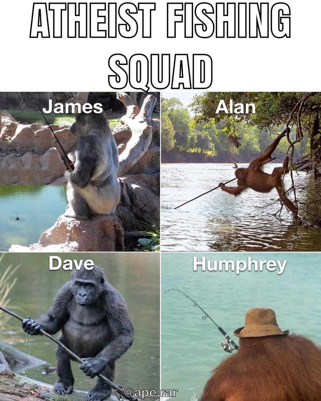 Meme Image