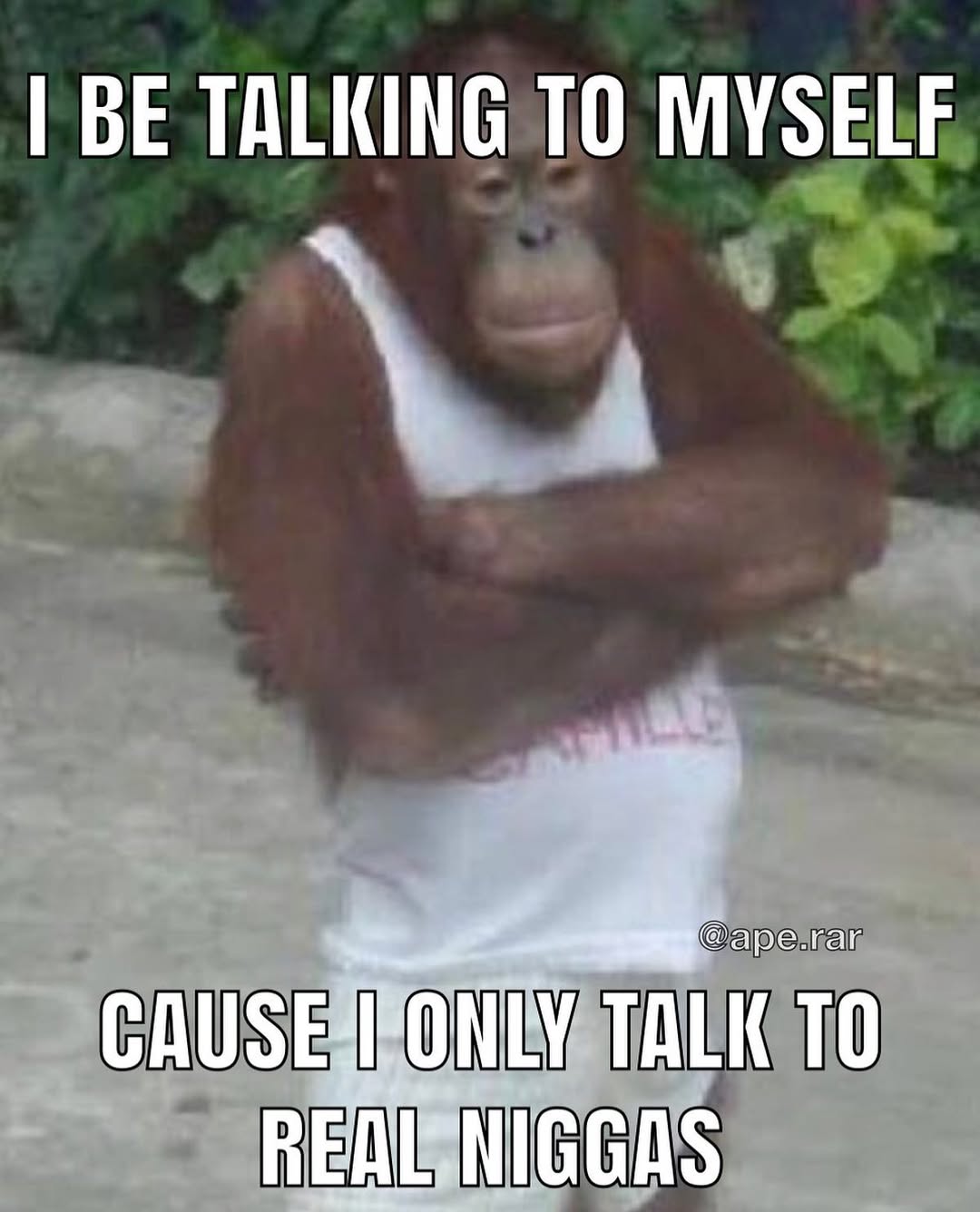Meme Image