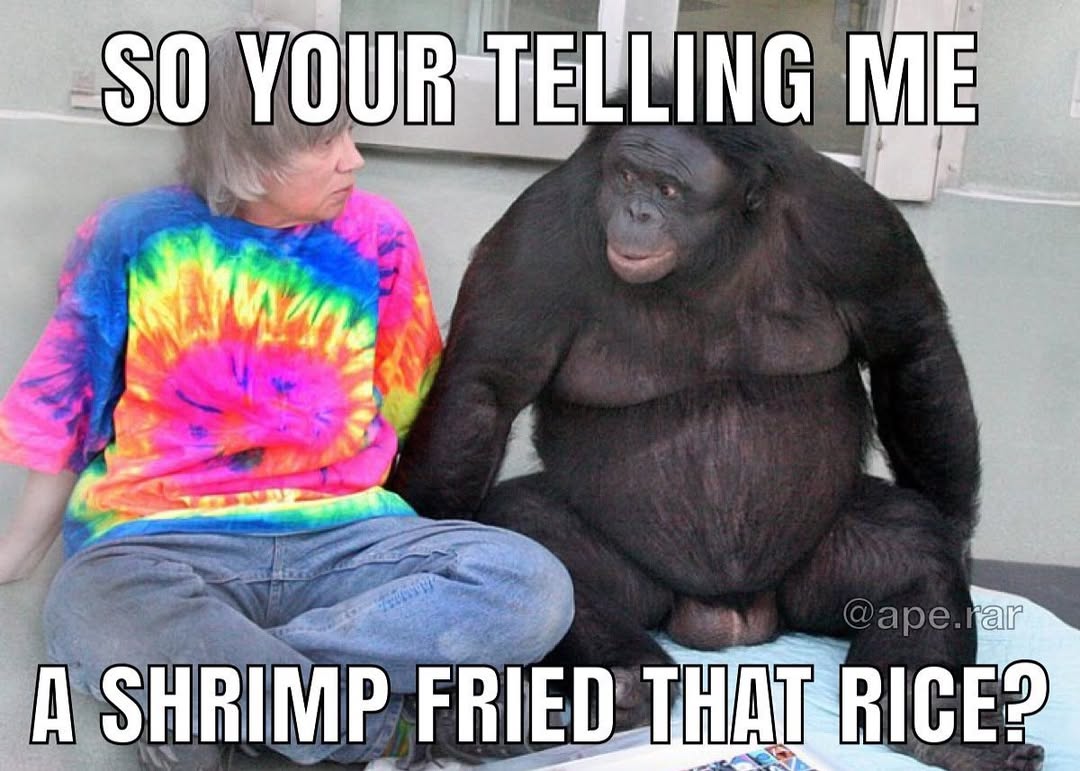 Meme Image
