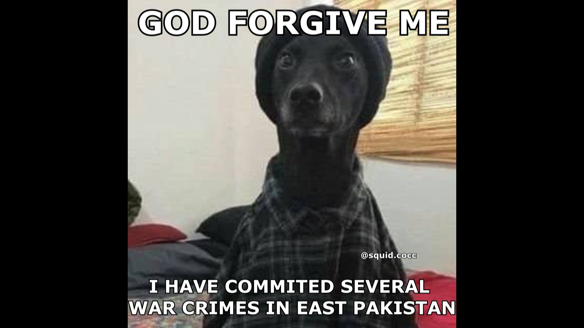 Meme Image